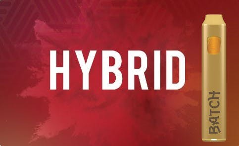 Image of Batch - Hybrid - Disposable