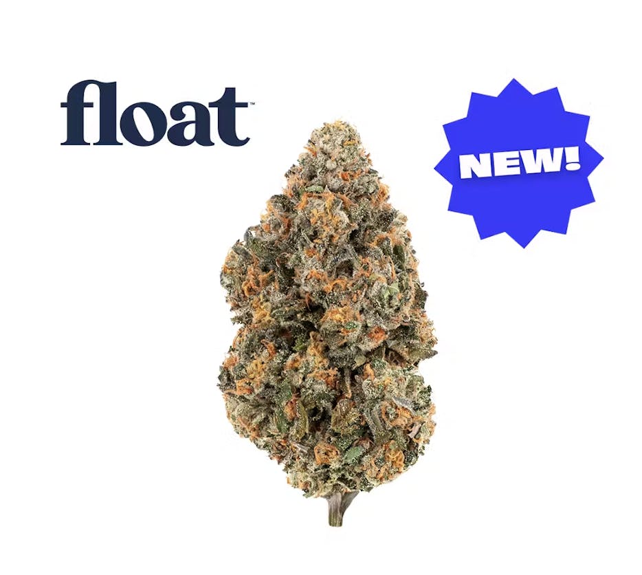 Product Float - Gelato 41 - Flower