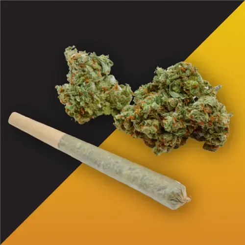 Cherry Chem Dipstick-1