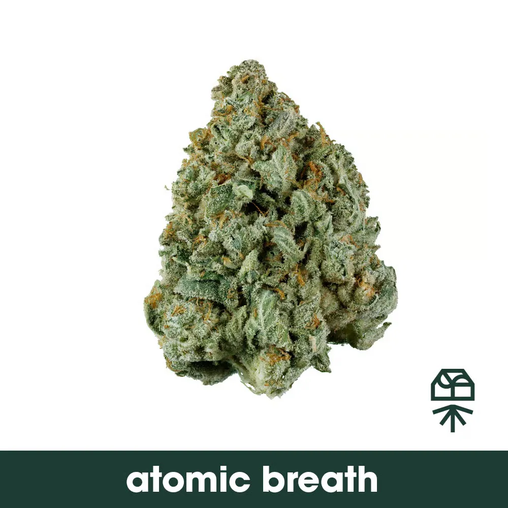 Cannabis Dispensary in Atlantic City, NJ | Open Daily