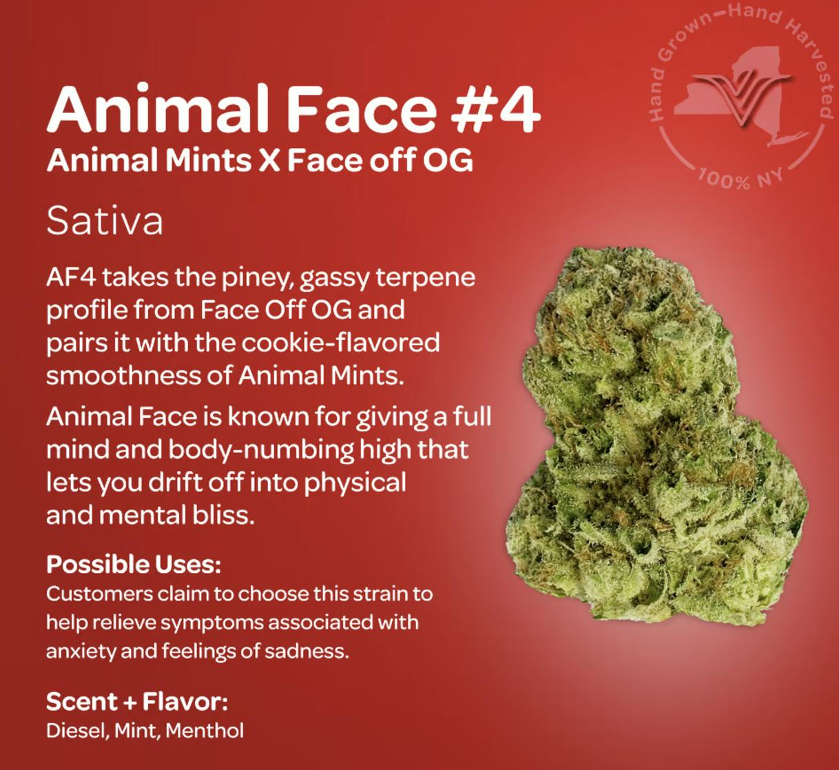 Vireo Indoor Sativa Flower 3.5g- Animal Face-2