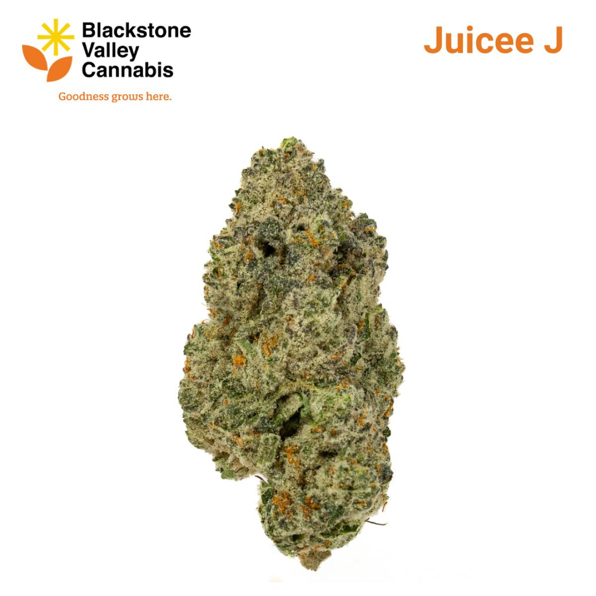 Product Juicee J - Flower
