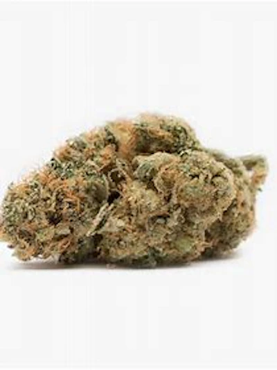 DELI - Oh Geez Smalls - FLOWER by Tend Harvest Cultivate at King of Budz