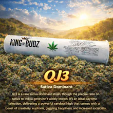 KOB - 1g Preroll - QJ 3