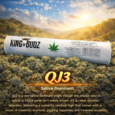 KOB - 1g Preroll - QJ 3