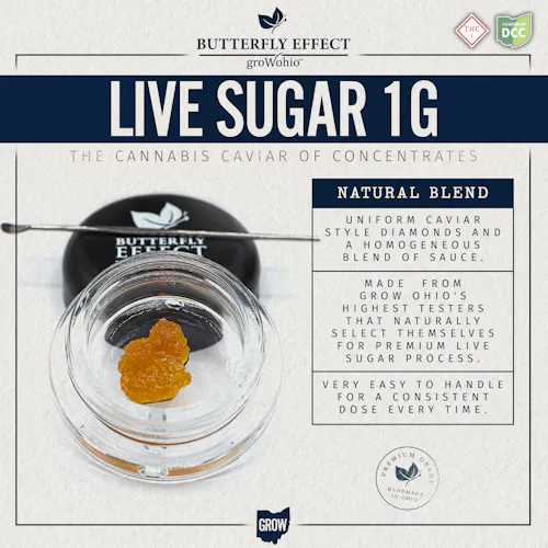 Butterfly Effect | BLJK (Live Sugar) | 1g | Sativa-active