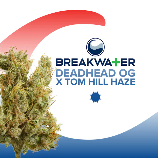 Breakwater Flower Deadhead OG x Tom Hill Haze 3.5g (sativa hybrid)
