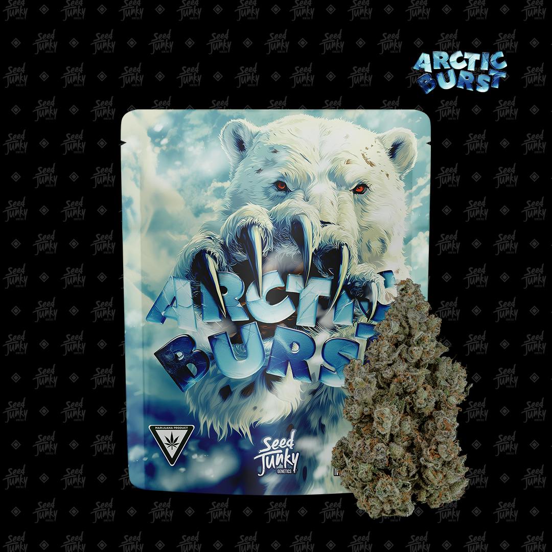 Seed Junky - 3.5g Prepack - Arctic Burst