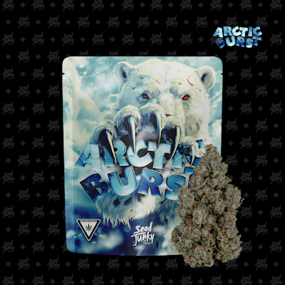 Seed Junky - 3.5g Prepack - Arctic Burst - FLOWER by Seed Junky at King of Budz