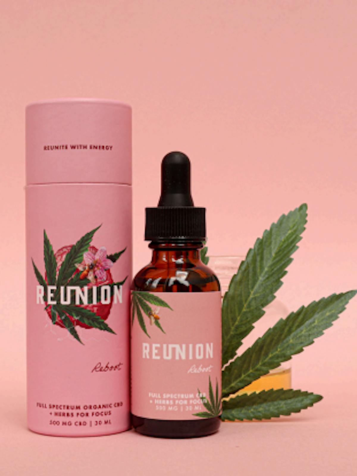 Photo of Reunion – Reboot Tincture