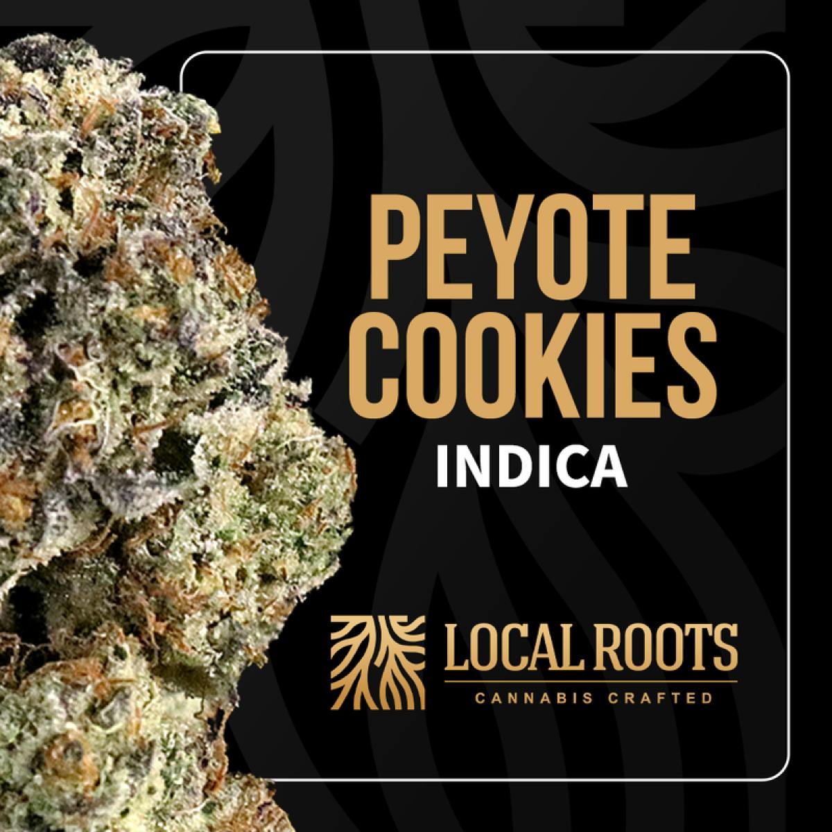 Product Peyote Cookies | Pre Rolls