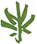 dispensary logo
