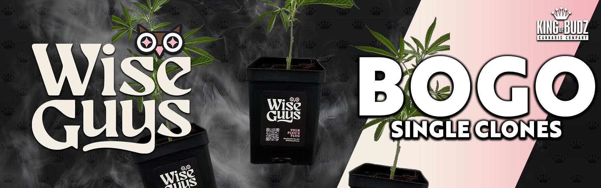 BOGO Wise Guys Clones