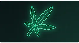 Flower category image