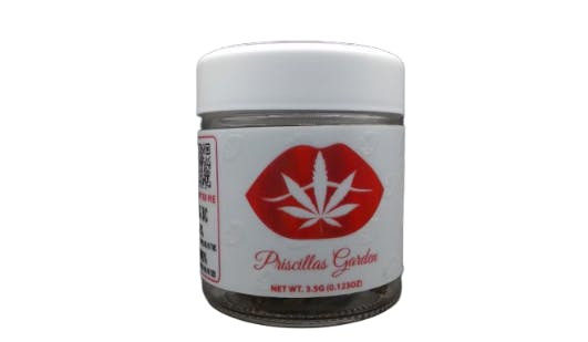 Priscilla's Garden | Blueberry Blizzard | Flower | 3.5g