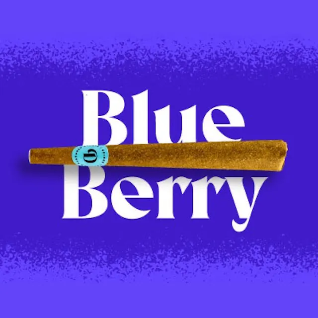 Doinks Infused Blunt Blueberry 1g (hybrid, blunts)
