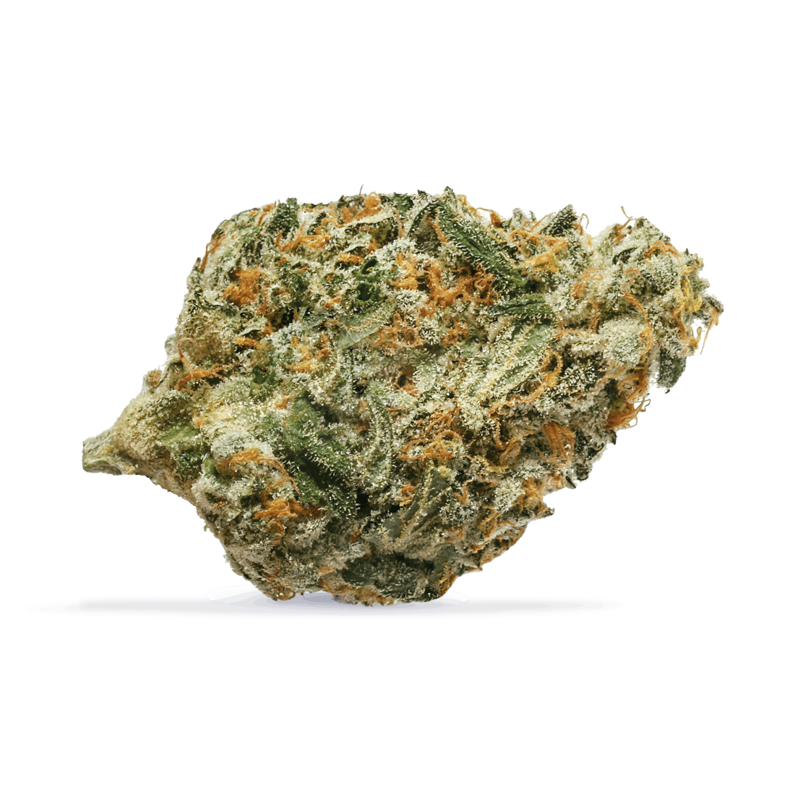 Bc sour kush