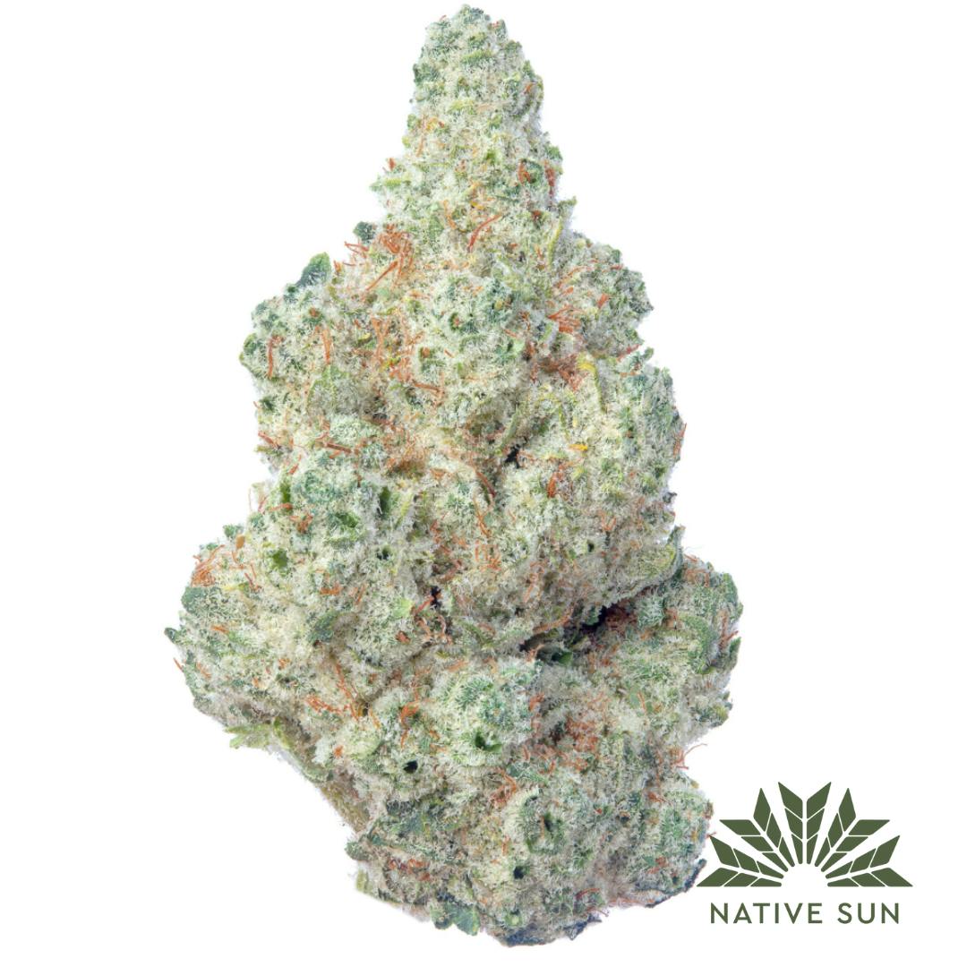 Native Sun - 3.5g - Elmer's Glue