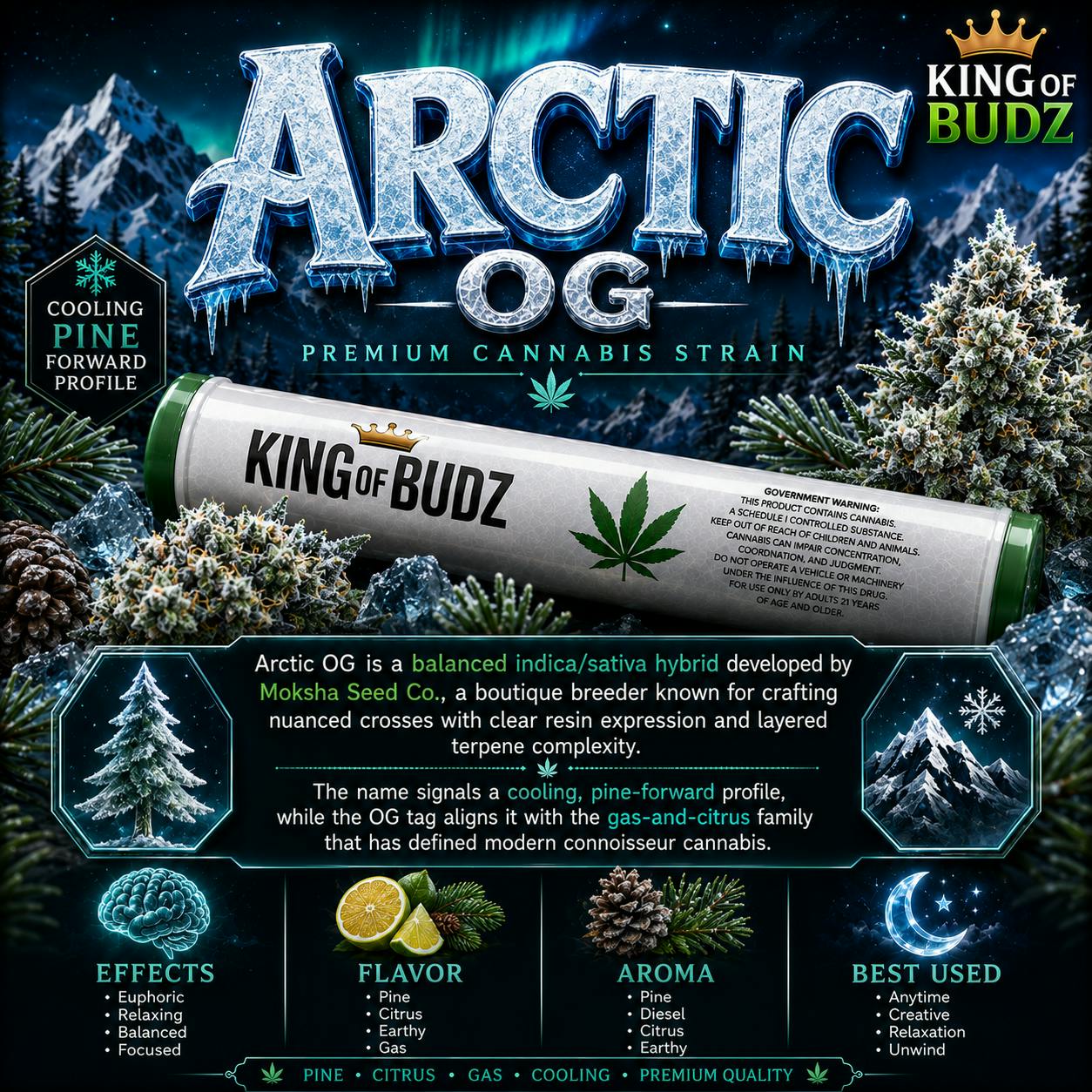KOB - 1g Preroll - Artic