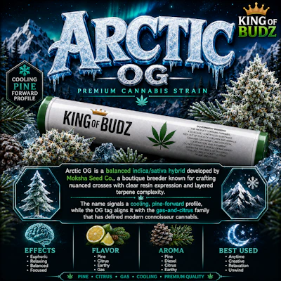 KOB - 1g Preroll - Artic - PRE_ROLLS by King Of Budz at King of Budz