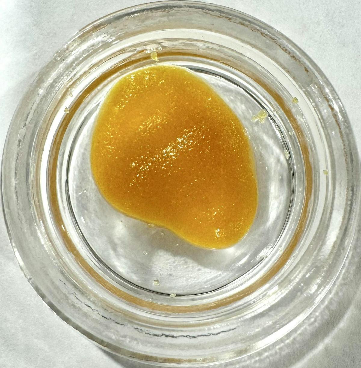 Photo of First Class Cool Blue Dab (Hoodview)