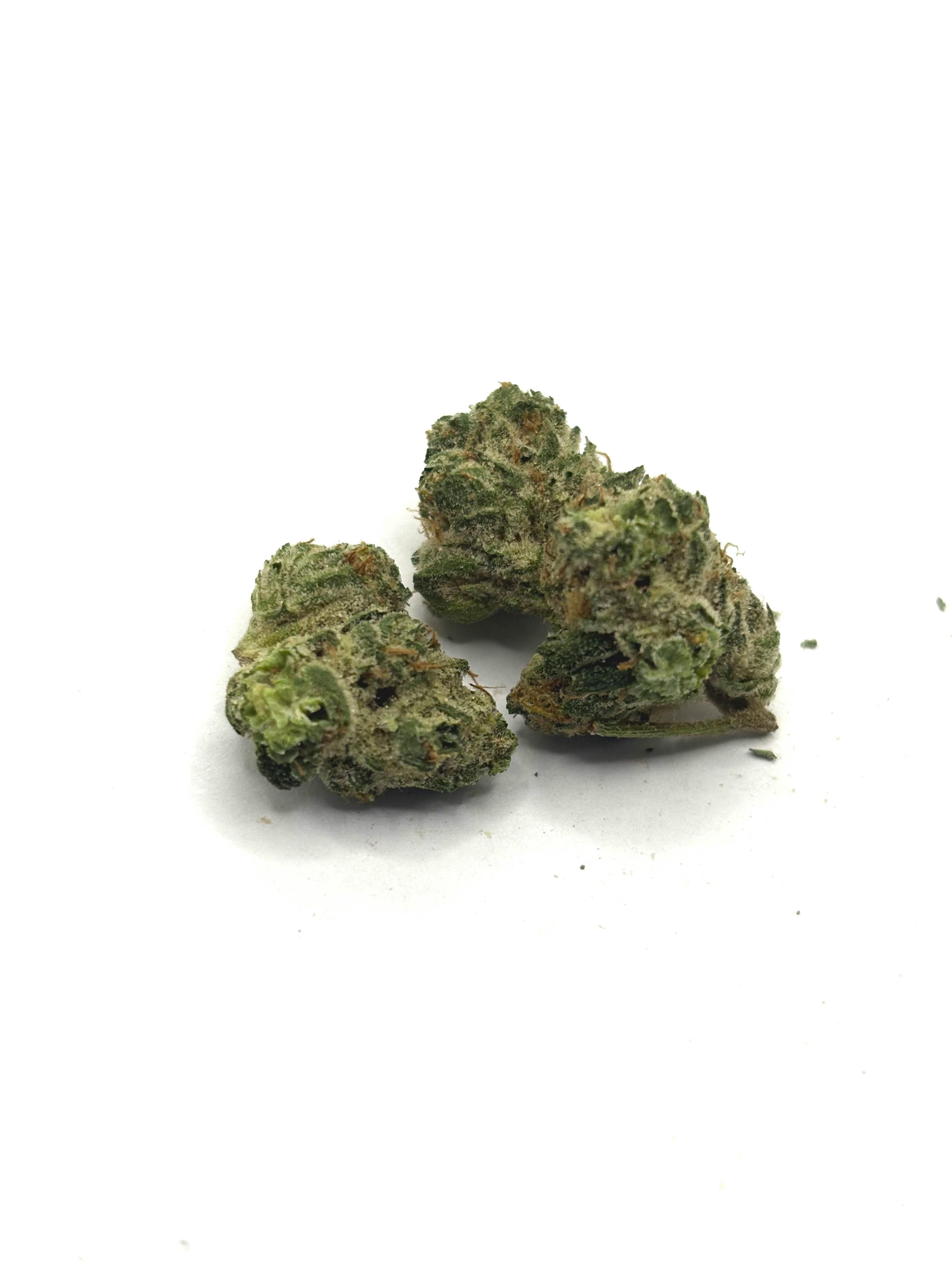 Common Citizen - King Wilson - Eighth | Premiere Provisions - Big