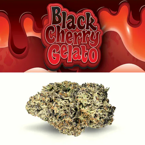 Cookies – Micro Batch – Black Cherry Gelato x Zoap – Flower Tub – Indoor-1
