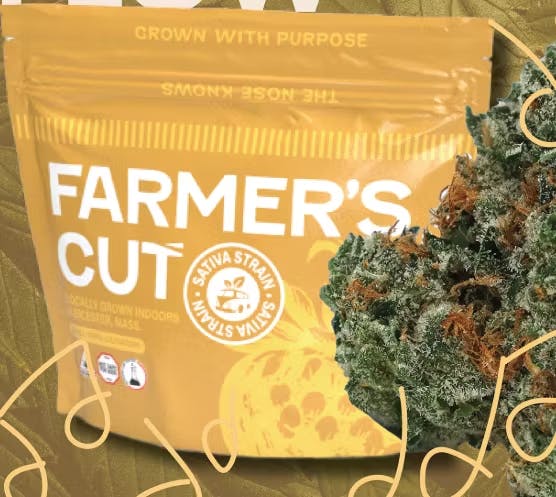 Product: Powder Peach [14g]