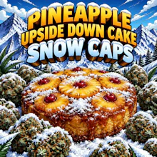 DELI Infused -Pineapple Upside Down Cake Snow Caps - FLOWER by Fresh Canna at King of Budz