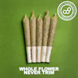 Gas Face Rolled
