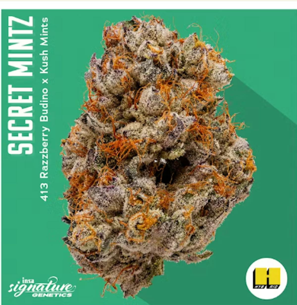 Image of Secret Mints – 1g Pre-Roll – INSA