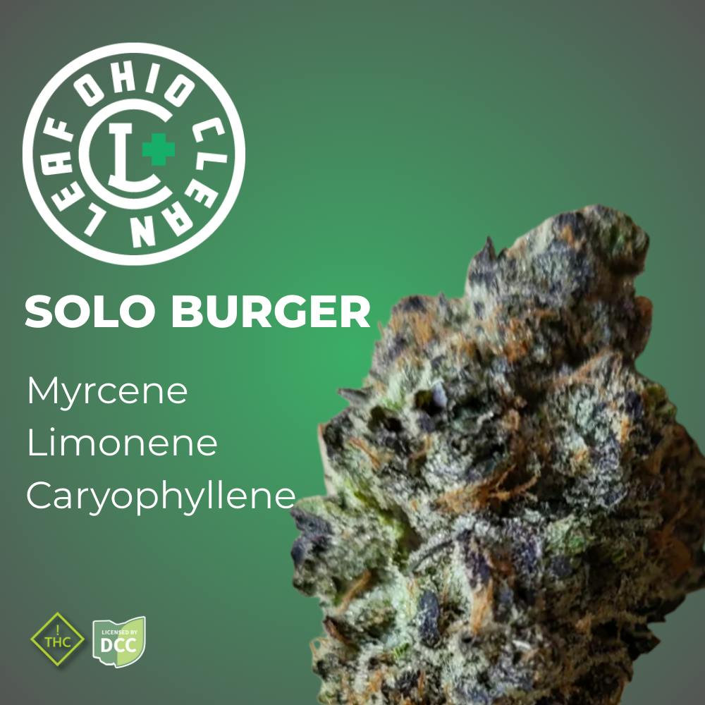 Solo Burger