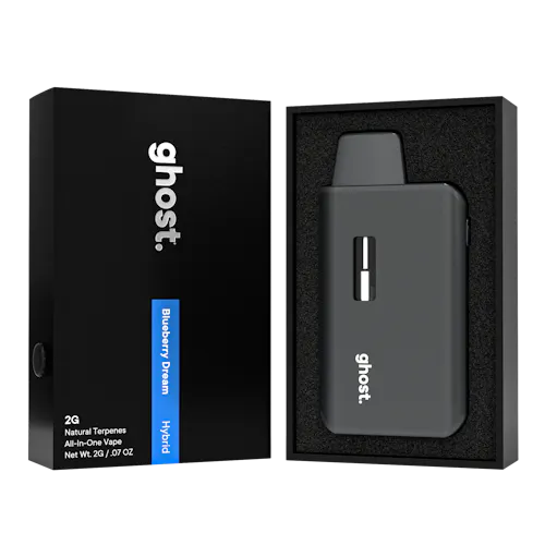 2g Blueberry Dream All-In-One Vape-active