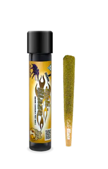 Vanilla Lava Cake Tarantula | 1g