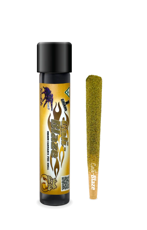 Vanilla Lava Cake Tarantula | 1g