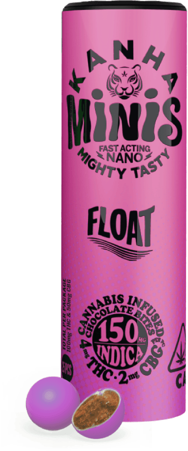 2:1 Float Minis Chocolate Bites 25-pack-0