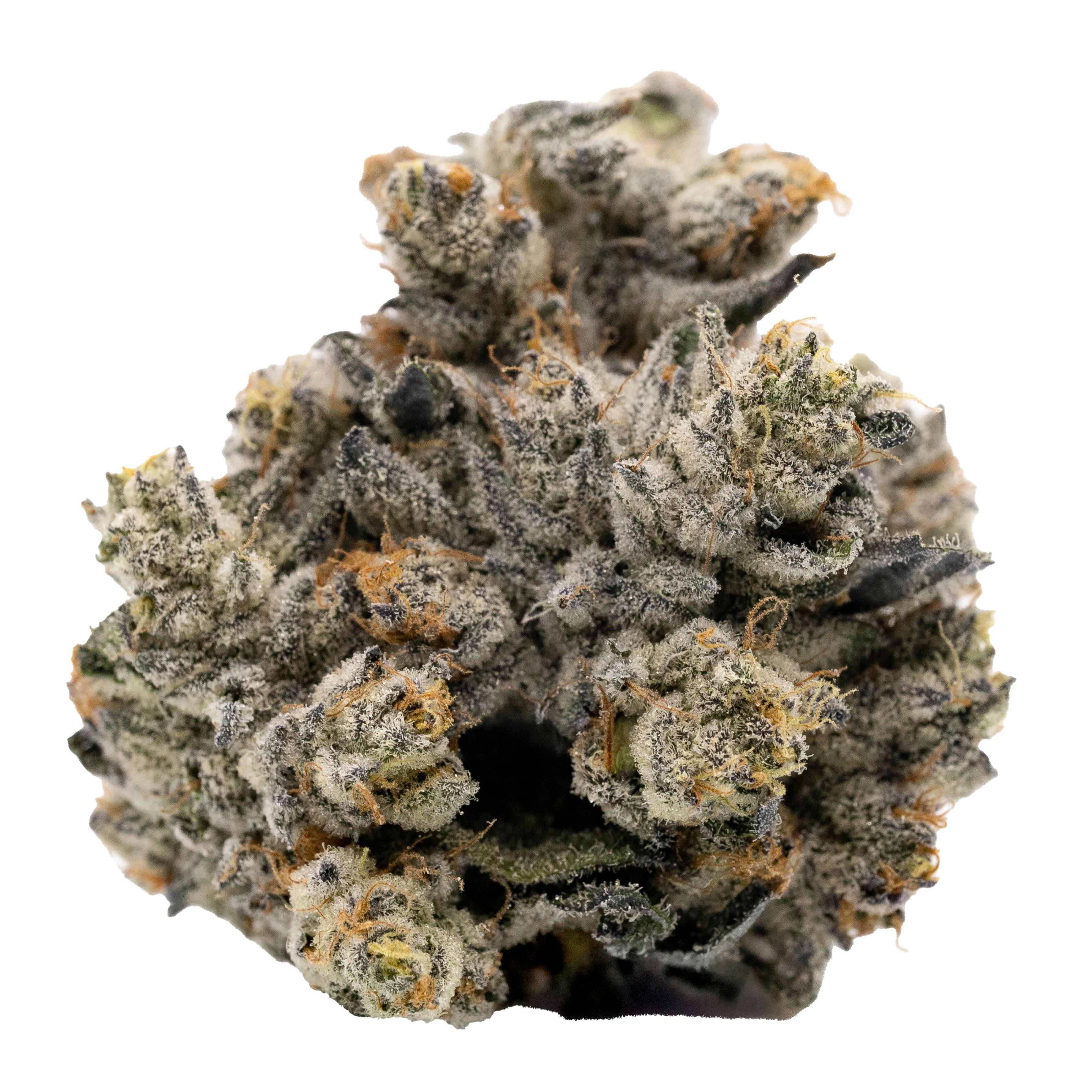 Oreoz | Genesis Farms - Aberdeen