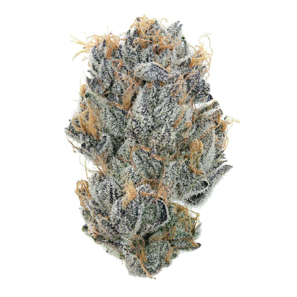 Image of Purple Cheese