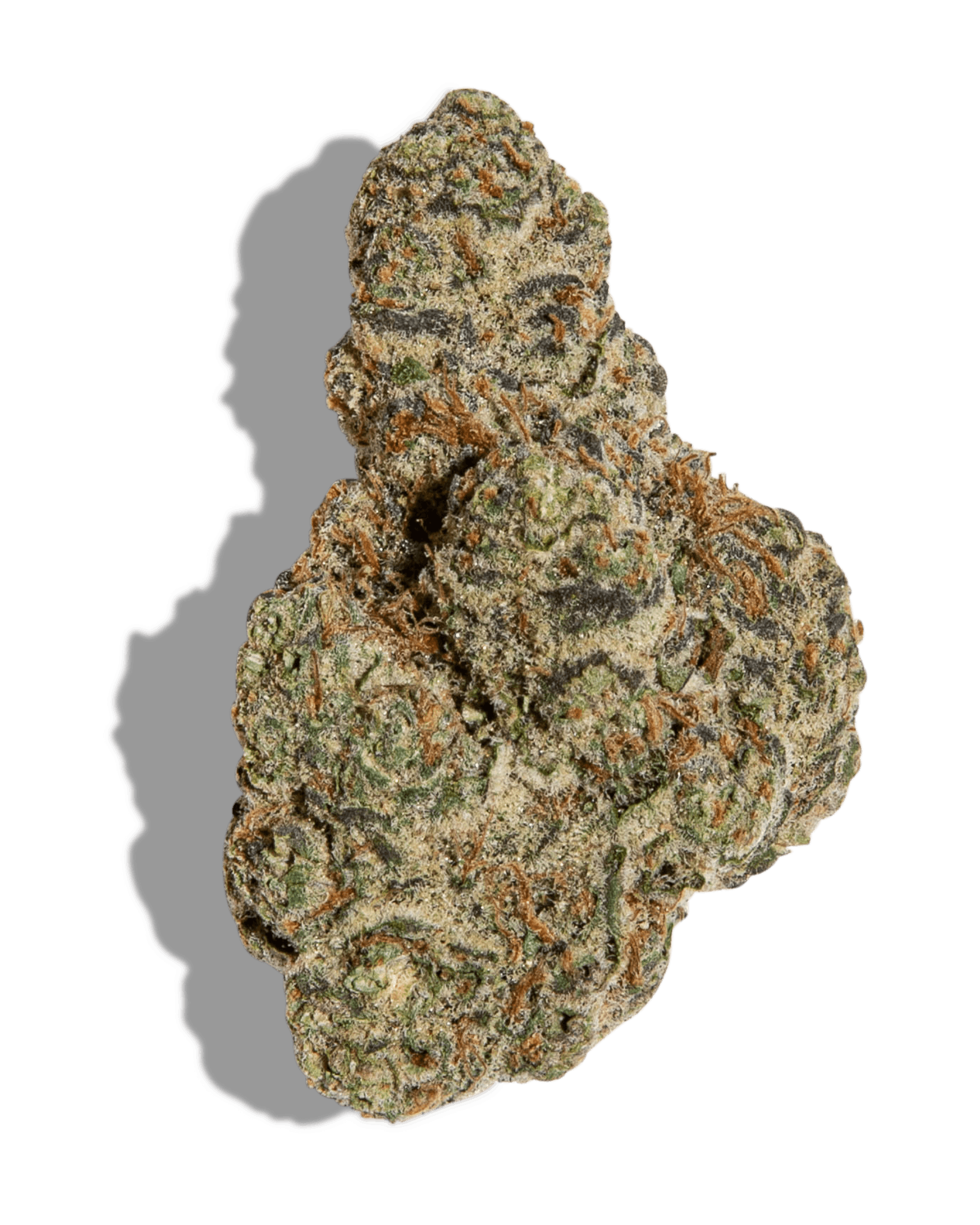 9 Dab Rig  Lume Cannabis Co. - Michigan's Largest Cannabis Company