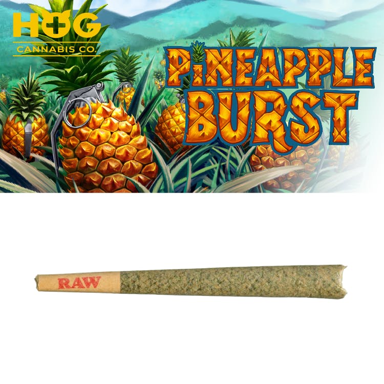 Product: HOG Farms | Pineapple Burst | Premium Pre-roll | 1g | Sativa