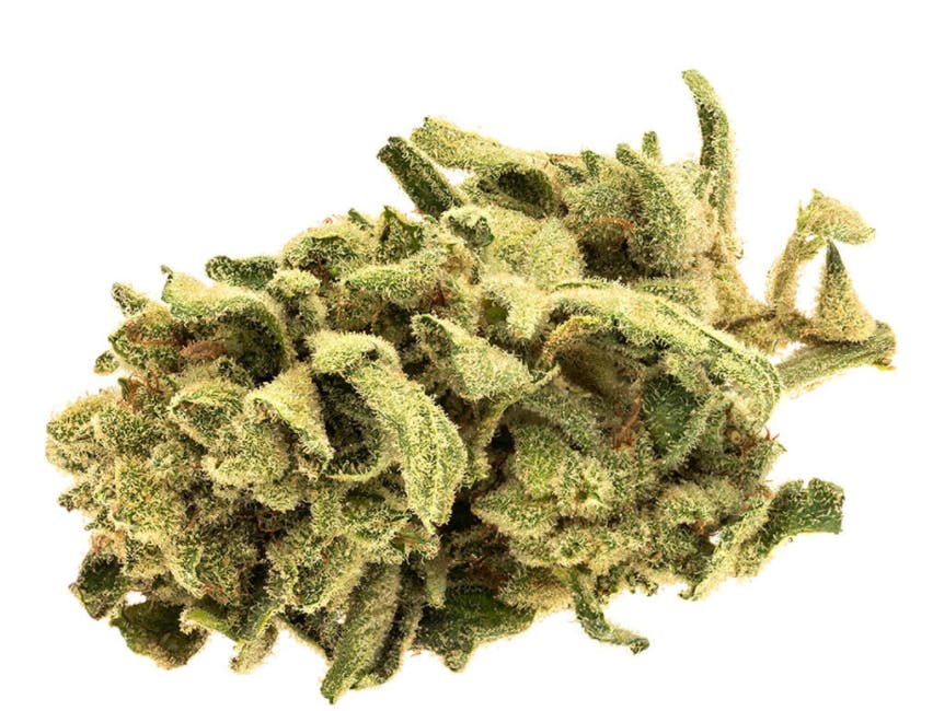 Good Supply - Monkey Glue Pre-Roll - 1x1g