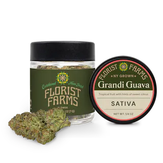 Grandi Guava | Sativa | Quarter
