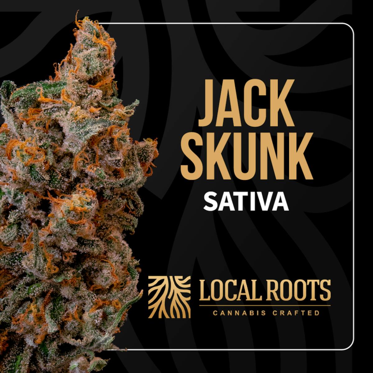 Product Jack Skunk | Pre Rolls  | 1g