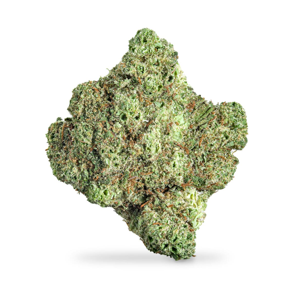 Photo of Truforia – Oreo Blizzard – ($18 Special, No Discounts)