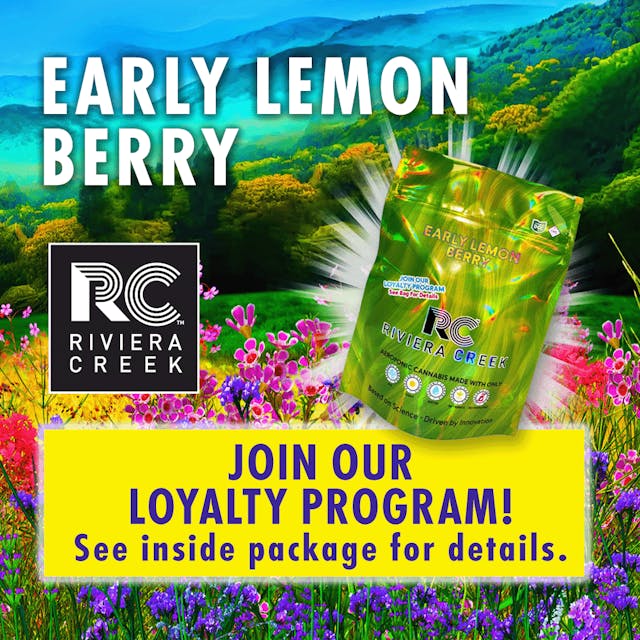 Early Lemon Berry, a lively hybrid, bursts with an enticing blend of citrus and berry aromas. The first inhale fills the senses with a tangy zest of lemon intertwined with the sweetness of ripe berries. As the scent deepens, notes of orange and grapefruit add a refreshing, tropical twist, giving the strain a bright, sunny character that’s both invigorating and sweet.

On the tongue, Early Lemon Berry offers a medley of fruity sensations. The initial citrus tang is balanced by the subtle sweetness of berries, while the orange and grapefruit nuances provide a crisp, juicy backdrop. Dominant terpenes like Caryophyllene, Myrcene, and Limonene enrich the experience with a blend of spice, earthiness, and citrusy vibrance. Secondary terpenes such as Linalool and Humulene introduce delicate floral and herbal undertones, further enhancing the complexity of both the aroma and taste. With additional cannabinoids like CBG and THCv, Early Lemon Berry is perfect for those who appreciate dynamic and refreshing profiles.