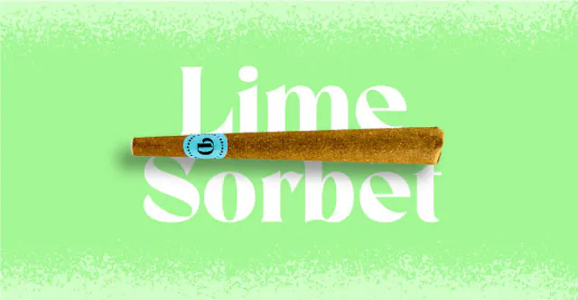 Doinks Infused Blunt Lime Sorbet 1g (hybrid, blunts)