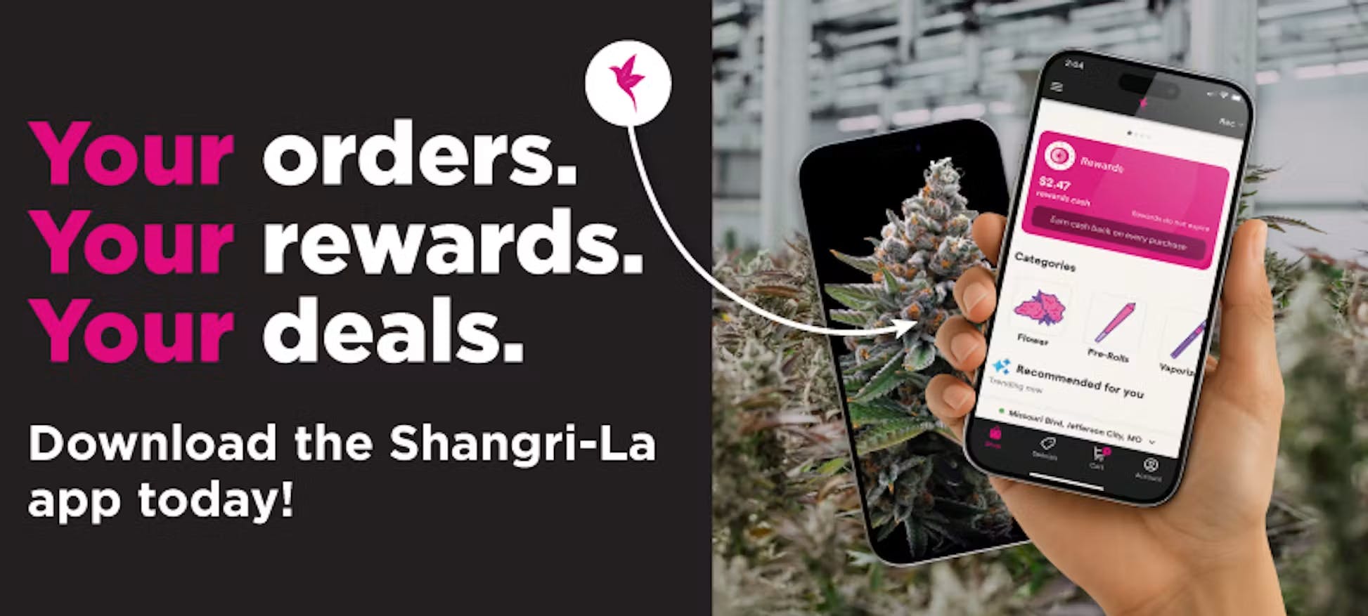 Your orders, your rewards, your deals, all in one place. Download the Shangri-La app today to shop, track rewards, and access exclusive offers directly from your phone.