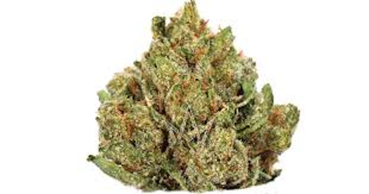 Image of Oakstradam OG