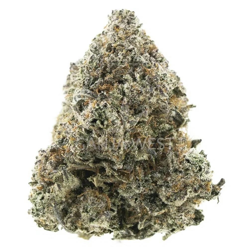 Product: CRAFT HYDROPONIC | CEMENT SHOES | PRE-PACK INDICA