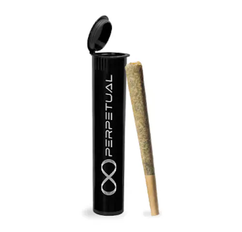 Pineapple Bang Bang 1 (H) – Pre-Roll (.5g) – Perpetual-active